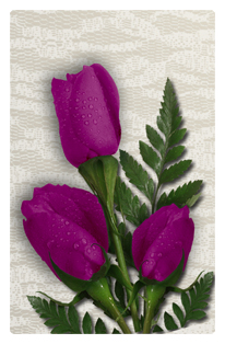 DF35T 053 2 Roses Orchid